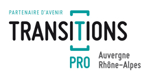 Logo Transitions Pro